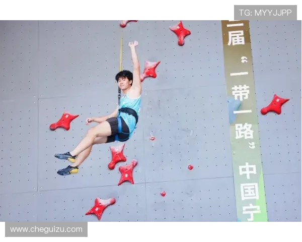 南京攀岩队在全国攀岩战术排行榜中荣获第九名的佳绩分析
