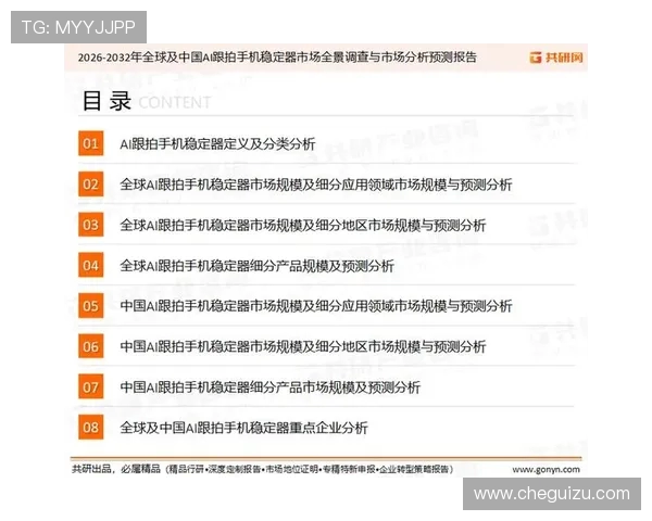 广州飞盘队战术表现深度解析与数据分析探讨